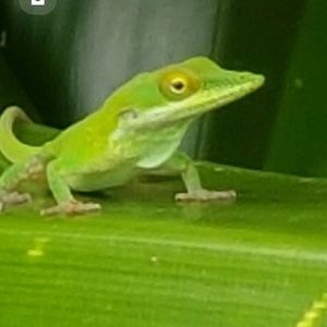 Meet your Posher, Wayne